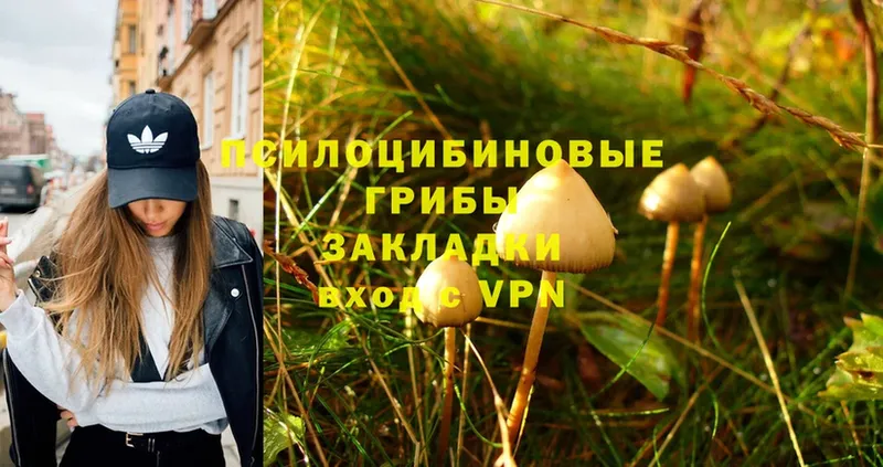 Псилоцибиновые грибы Magic Shrooms  Медногорск 